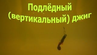 Зимняя рыбалка.Подлёдный (вертикальный) джиг