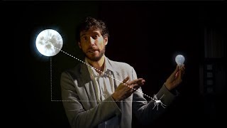 ¿Por qué los insectos van a la luz?