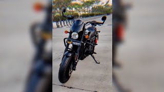 BLACK BEAUTY ️