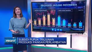Subsidi Pupuk Triliunan, Produksi Pangan Perlambatan