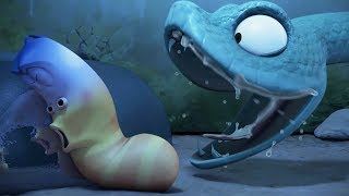 LARVA - SNAKE CHARMER | Cartoons For Children | Larva Full Movie | Larva Cartoon | LARVA Official