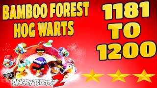 Angry Birds 2-Bamboo Forest Hog Warts Levels {1181 To 1200} Three Star Walkthrough