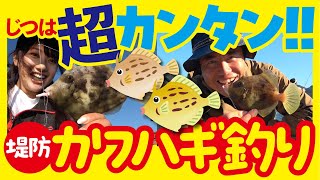 実は超簡単!! 堤防 カワハギ釣り やってみよ～!!