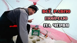 РАЗ НЕ ЛОВИТ МОРДА - ПОЙМАЮ НА ЧЕРВЯ! \ ЧТО У УСТАИЧА В РУНДУКЕ? \ РЫБАЛКА 2020
