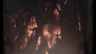 PSYCOPATH WITCH "Irreverence and Blasphemy" unofficial clip