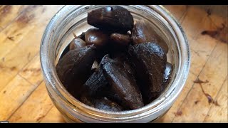 RECETTE / RECEITA  AMOS MAIA  ALHO NEGRO