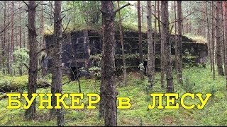 КОП по ПЕРВОЙ МИРОВОЙ. Нашли бункер в лесу и оборона "мертвого" города. Фильм 56.