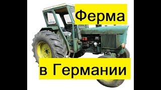 Молочная ферма в Германии - ломаем стереотипы | Олд Макдональд