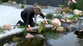 Pondteam Video 2-2012