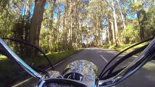 XVS1300 Twisties through the Dandenongs