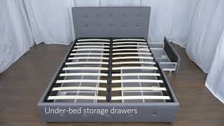 DHP Rose Upholstered Bed with Storage