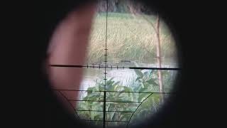 Tho san khet tieng .pcp trien thong tes cong coc