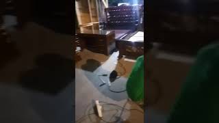 Dipan set asli berbahan kayu jati