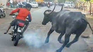 Funny Videos 2019 | Part-2 | TWF | Comedy videos 2019 | Best comedy videos | funny videos