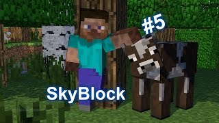 SkyBlock(Часть 5)