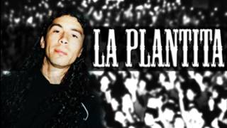 DAMAS GRATIS LA PLANTITA