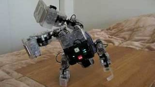 RoboBuilder 1-Arm Handstand