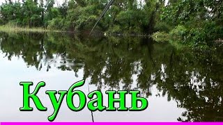 ПОКЛЕВКИ на поплавочную удочку.Fishing. Рыбалка в заводи реки Кубань, город Краснодар