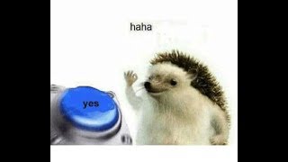 the best memes of 2018