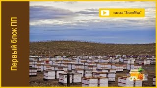 Блок №1. Основные принципы промышленного пчеловодства