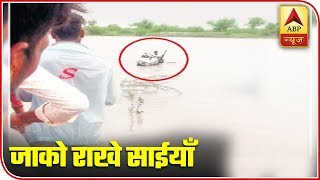 Watch Top Viral News Of The Day | ABP News