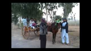 Ghourghushti Tanga Race 2/12/12 P1