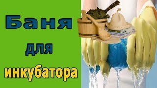 Обработка инкубатора Как помыть инкубатор