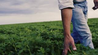 Servicios Agropecuarios / Campos