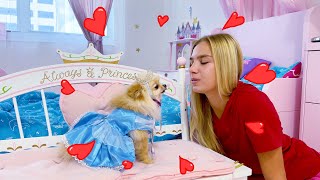 Maggie and Nastya - a story how dogs were lost
