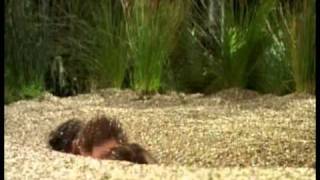 Quicksand
