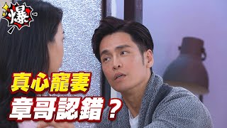 《多情大爆爆》多情城市 EP271 真心寵妻 章哥認錯？