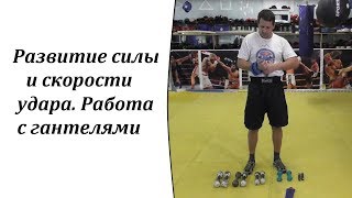 Развитие силы и скорости удара. Работа с гантелями.