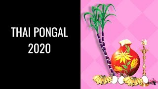 2020 Thai Pongal Date - Pongal 2020 - Happy Pongal 2020 – When is Thai Pongal 2020