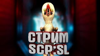 ⛔СТОП НЕ ЗАХОДИ НА СТРИМ ЭТО УЖАС:SCP Secret Laboratory⛔