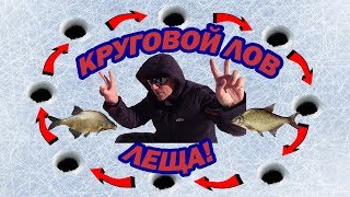 КРУГОВОЙ ЛОВ ЛЕЩА. Курминский залив.