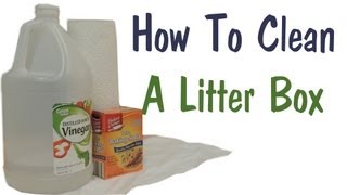 How To Clean A Litter Box