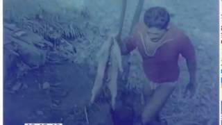 Operation Drake: 256: Preparing Kill For Food, 1970s - Film 80605