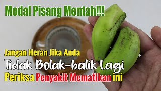 PERTAMA DI YOUTUBE... TERNYATA HANYA MODAL PISANG MENTAH BISA BUATMU BERHENTI CHECK UP TIAP BULAN