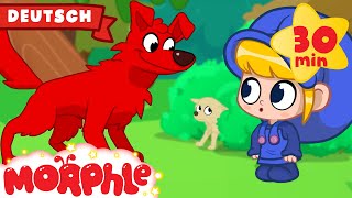 Dino beim Hunderennen | Cartoon für Kinder | Mila und Morphle auf Deutsch