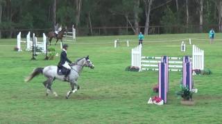 Hirocco VDL 1 10m Rider's