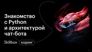 С чего начать обучение Python для начинающих? Интенсив по чат-боту на Python