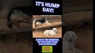 It’s hump day!