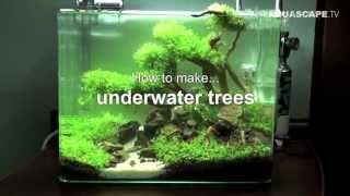 Aquascaping - How to make trees in planted aquarium