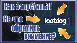Как пользоваться и запустить LOOTDOG? Мошенники?!