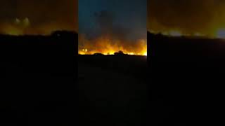 Area Bandara Kertajati Kebakaran