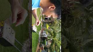 Metal detector gold detector treasure hunter philippines long range locator part 2
