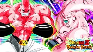 Okay let's be fair here... SA10 TEQ Buff Buu Showcase! DBZ Dokkan Battle