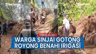 Warga Berjuang Biayai Sendiri Irigasi untuk Air Sawah dan Sumur Resapan di Sinjai Selatan