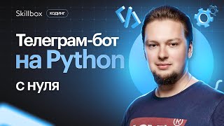 Как создать бота в Telegram на Python? Интенсив по Python