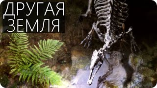 АНТАРКТИДА: ЭКСПЕДИЦИЯ 2020 [Погружение в тропический лес]